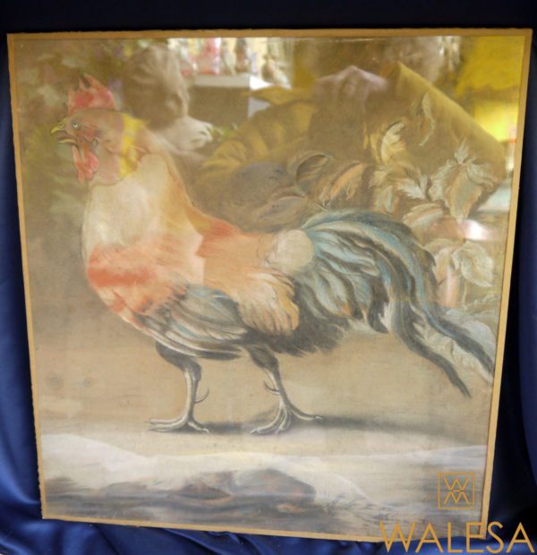 Pastel animalier ancien "Coq français" XIXème – Image 3