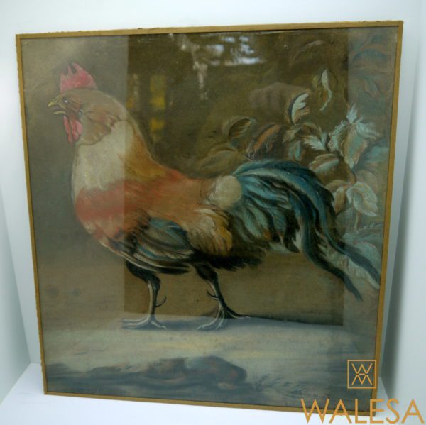 Pastel animalier ancien "Coq français" XIXème – Image 2