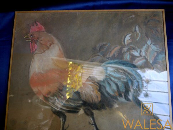 Pastel animalier ancien "Coq français" XIXème – Image 4
