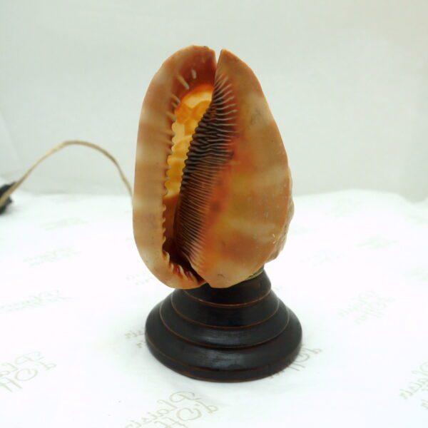 Lampe en coquillage sculpté en camée - Psyché – Image 3