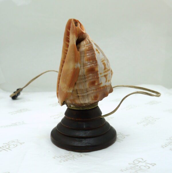 Lampe en coquillage sculpté en camée - Psyché – Image 4