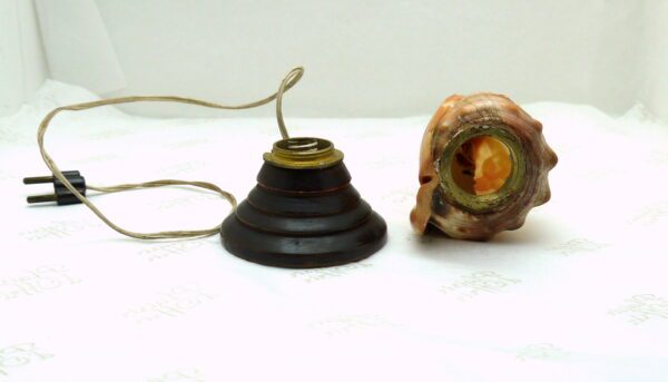 Lampe en coquillage sculpté en camée - Psyché – Image 5