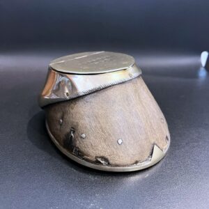 Boîte couverte (cendrier) dans un sabot de cheval
