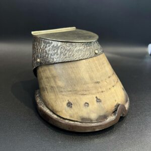 Moutardier dans un sabot de cheval