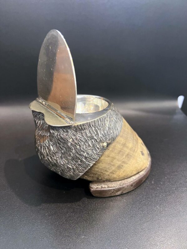 Moutardier dans un sabot de cheval – Image 4