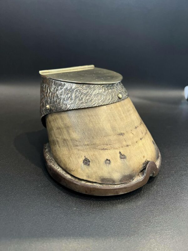 Moutardier dans un sabot de cheval