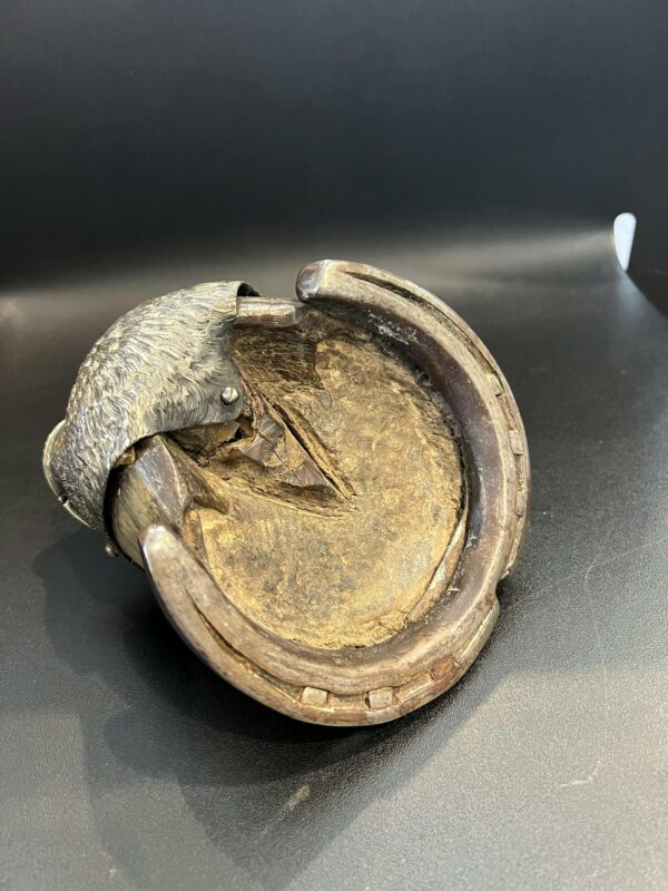 Moutardier dans un sabot de cheval – Image 9