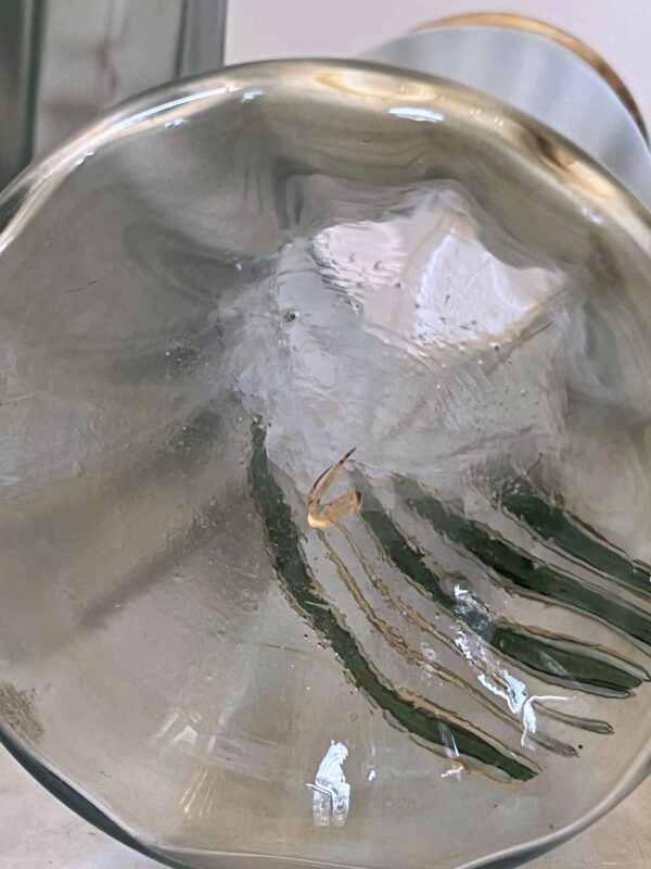 Paire de grands vases Art Nouveau en verre bleuté – Image 5